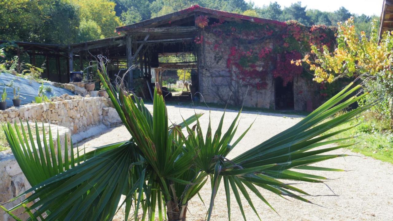 Zen Domme Exterior foto